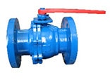 DN10 -100